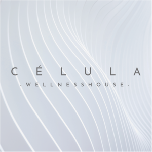 呼吸で整う、内なる静けさへの旅 - CÉLULA呼吸セッション -