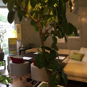 小さなおもてなしの教室