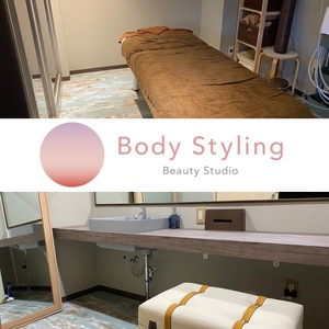 body styling