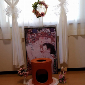 ブリリアント ソウル