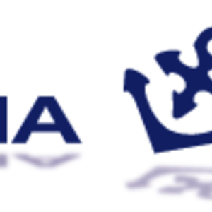 勝どきマリーナウェイクボードアカデミー