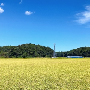 おひるねアート&フォト教室photokey