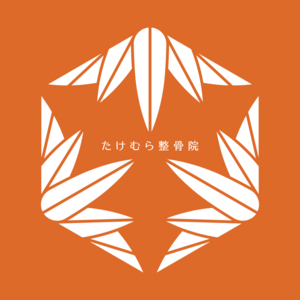 たけむら整骨院-ピラティスレッスン専用サイト