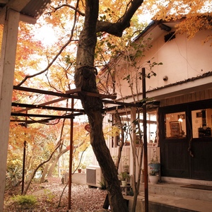 森の中のレストラン・巴里s