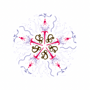 Pilates Studio Cocon 東大阪