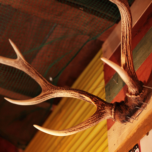 【ロケ撮影レンタル】米とサーカス