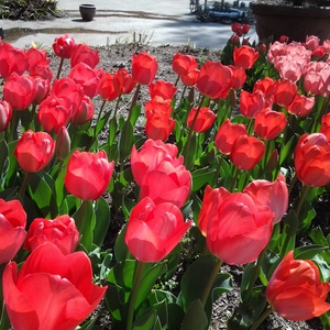 陰ヨガ教室ーYin Yogaー　はなはな