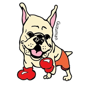 白井具志堅スポーツジム