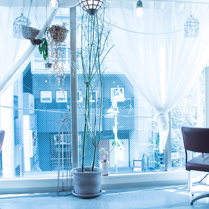 SALT WATER (ソルトウォーター)