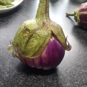 【発酵教室終了しました at 宮城県加美郡色麻町】　