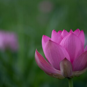 カウンセリングルーム エポナ