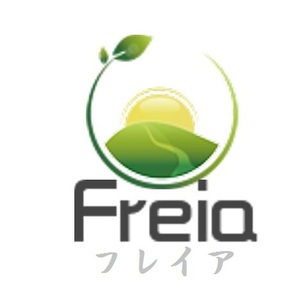 Freia保育付出張産後骨盤矯正