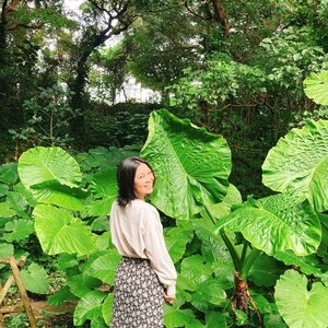 腸もみサロンwave