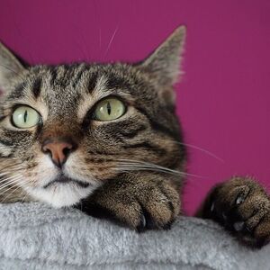 セルフリードプログラム　個人セッション