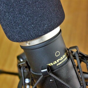 零磁場「秦の郷」