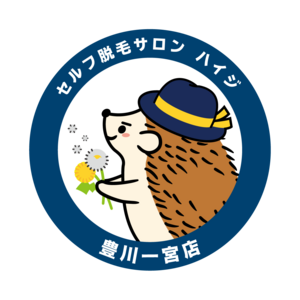 セルフ脱毛サロン ハイジ豊川一宮店