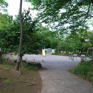 タイムフライズ