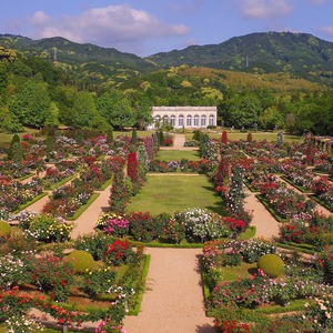 河津バガテル公園ドローンフェスタ
