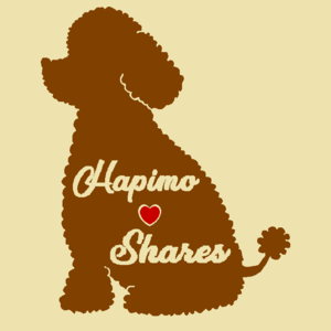 犬服教室 Hapimo❤Shares 千葉 横浜 日暮里 自由が丘 藤沢 平塚