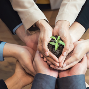 大地みらい信用金庫