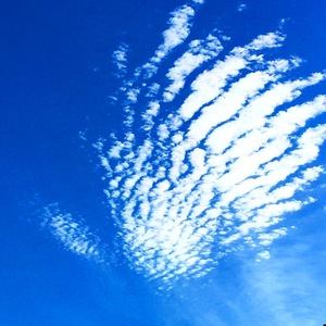 天使のセラピー   ヨモギ蒸し（温熱セラピー）と経絡塩マッサージで老廃物を体外へ