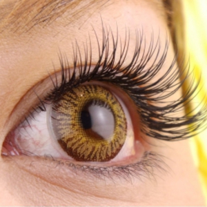 Petit pas【福岡博多】まつげエクステサロン　プティパ