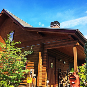 KiddyCAT 英語教室　LOG☆KIDS