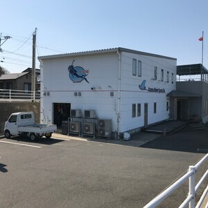 唐津マリンスポーツクラブ　遊漁船イーグル　予約ページ