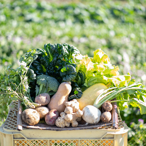 よしだ有機農園