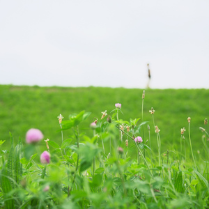 Akane Design ぱそこんきょうしつ。