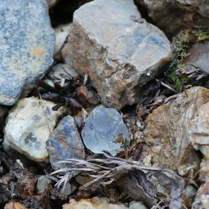 笹洞蛍石鉱山　sasahora fluorite mine