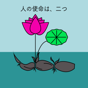 The Lotus in Me YOGA