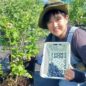 samukawa-blueberry_nagi