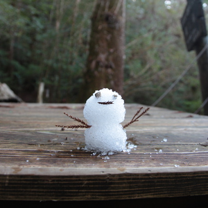 屋久島ガイドクラブ