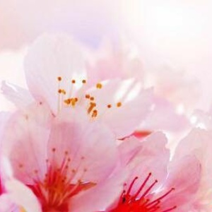 高岡ビジネススクール