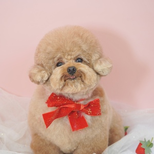 むぎオフィシャルイベント🍫🧸