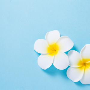 シニアのためのヨガサークル