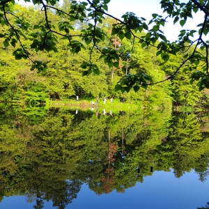 ヤマトメディカルサポート