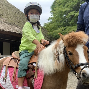 ウィンダムファーム久万高原愛馬会　/競泳塾アゲイン