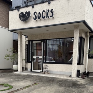dogsalonhotelsocks
