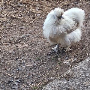 小料理屋　けいこ