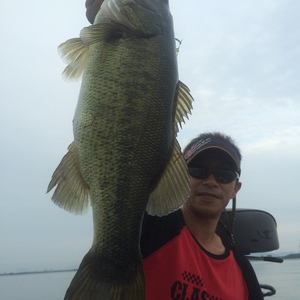 琵琶湖ガイド　にしやん