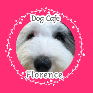 dogcafeflorence
