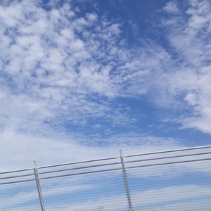 サンクチュアリ　ゆみちゃんち