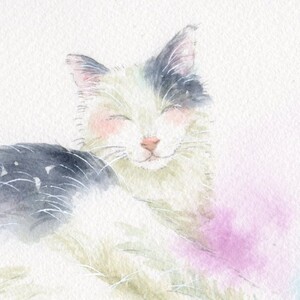 Azabu cat care specialists‐キャットシッター＆訪問ケア
