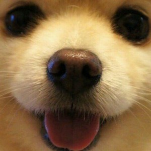 リラクゼーション整体.淳次郎