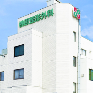 医療法人榊󠄀原