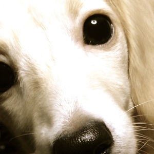 あかりや.COM 出水店