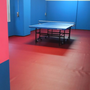 　　　　　　　　　　　　　　　　　　　　　　大阪で卓球！できます。