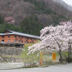 inaka-hirugami
